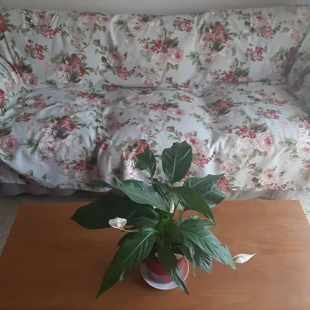 La Casa De La Tita Homestay *